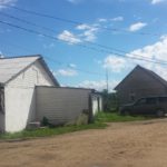 Farm kurczaki korniszony, rośnie pole Carewo (kury) Gospodarstwo, hodować kurczaki korniszony, pole Carewo