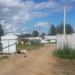 Farm rośnie kurczaki korniszony, pole Carewo (korniszony kurczaki) Gospodarstwo, hodować kurczaki korniszony, pole Carewo