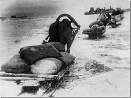 Imagini pentru Leningrad sub asediu