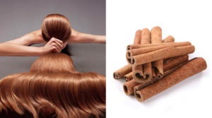 Маски для волосся з корицею і медом корисні рецепти впливає на ріст волосся