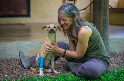 Собака з паралізованими лапками кілька днів повзла до людей в надії на порятунок - Інфоманія