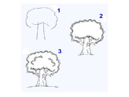 Дерева олівцем поетапно - як намалювати дерева олівцем поетапно