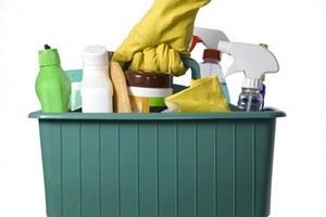 Як почистити палас в домашніх умовах - швидко і просто - легка справа