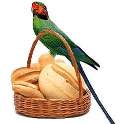 Чи можна папузі хліб