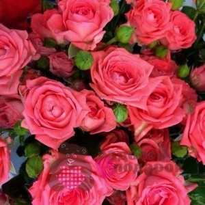 8 Рад, як зберегти свіжість букета троянд