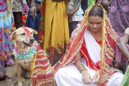 Індійська весілля заміж за собаку або яблуко - країни сходу і азії