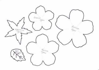 Троянди з фоамірана шаблони викрійку роздрукувати, пелюстки схема, листи і квіти покроково, маленький