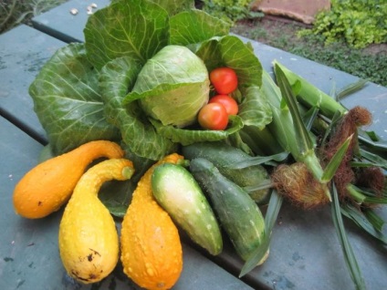 Заготівля овочів на зиму рецепт асорті (помідори і огірки, капуста та перець, а також інші