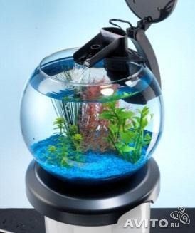 Круглий акваріум - хочу і все фото - елементи декору - легка справа