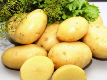 Картопля рів'єра, опис сорту з фото і відгуками