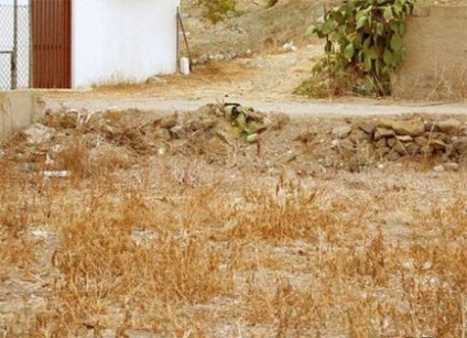 العثور على القط في الصورة (نجد) العثور على القط في الصورة