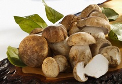 Калорійність грибів - смажених, білих, з картоплею