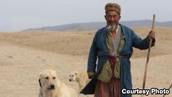 Особливості життя пастухів і їх собак в Таджикистані