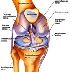 Перелом колінного суглоба