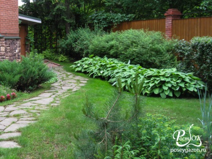 Сад легкого догляду - компанія - паросток ландшафтне проектування, дизайн саду в Москві і московській