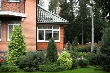 Сад легкого догляду - компанія - паросток ландшафтне проектування, дизайн саду в Москві і московській