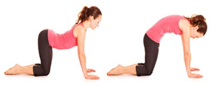 Вправи для зміцнення м'язів спини і попереку в домашніх умовах