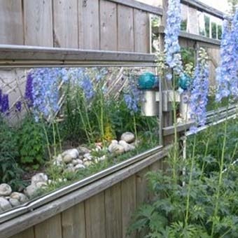 Навіщо дачному забору дзеркало 15 дизайнерських ідей для саду