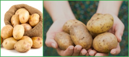 Лікування картоплею, цікаво знати