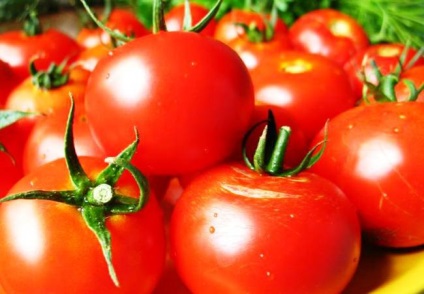 Кращі сорти томатів на 2016 рік фото, відео, відгуки