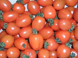 Опис кращих сортів томатів для вирощування в теплицях і відкритому грунті