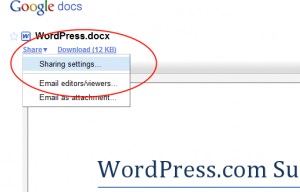 Відкриваємо доступ до google docs і google calendar на своєму сайті, всі про wordpress