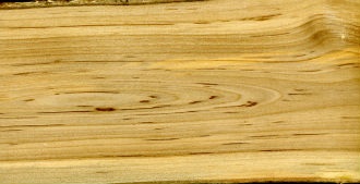 Властивості деревини горобини