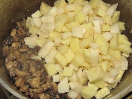 Тушкована картопля з грибами