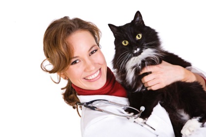 Чим можна заразитися від кішки