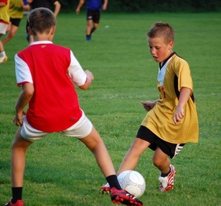 Як вибрати вид спорту для підлітка, fitvid
