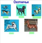 Про кішок і собак (2 клас), педагогічний калейдоскоп № 3-2009, методичний кабінет
