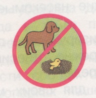 Якщо є собака, не пускай її гуляти в лісі або парку навесні або в - картинка 173653-15