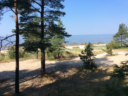 Пляжі південного узбережжя Фінської затоки