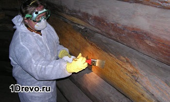 Захист дерев'яних будинків від жуків способи, засоби, профілактика