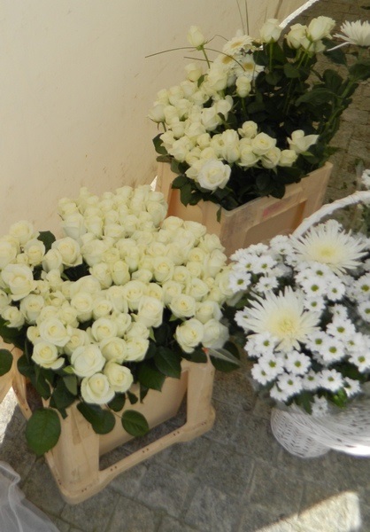День білої квітки милосердя як прообраз раю (фото)