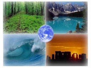 Екологічні інвестиції, екологічні інвестиції