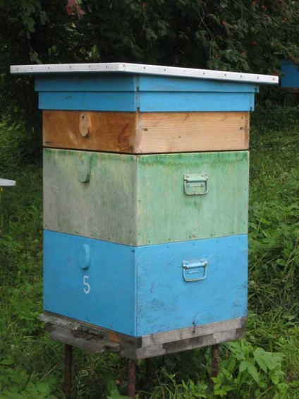 Календар бджоляра вересень, підготовка бджолиних сімей до зими