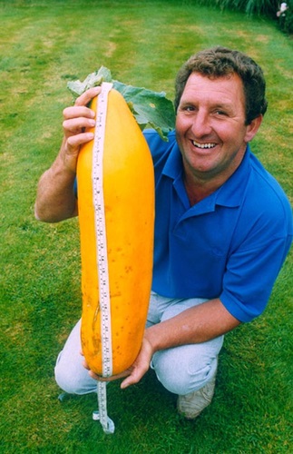 Найбільші овочі в світі