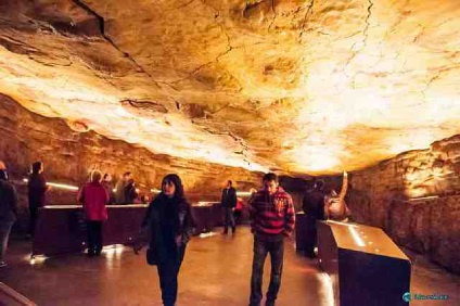 Дивовижна печера Альтаміра - новини з усього світу, цікаві новини, цікаві факти