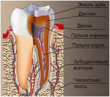 Установка зубні коронки в стоматології Дента плюс в Алтуф'єво, кращі ціни СВАО Москви