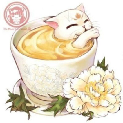 Чайні котики від magic cats street прекрасні ілюстрації до різних сортів улюбленого напою -