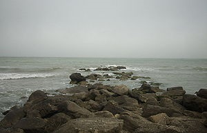 Каспійське море вікіпедія