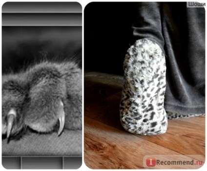 Домашнє взуття avon тапочки дика кішка - «облізла - дика кішка - це зовсім не те, що потрібно