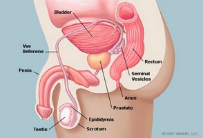 acinar adenocarcinoma prostate treatment