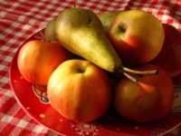 الهدير في البطن أسبابه وعلاجه عند البالغين ، ميزات الغليان بعد تناول ما يعنيه و (الهادر) الهدير في المعدة أسبابه وعلاجه لدى البالغين ، وملامح الغليان بعد تناول ما يعنيه و