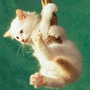 Гімнастика для кішок