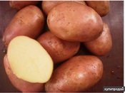 Картопля свіжа в Уфі інтернет-магазини і компанії з вартістю в каталозі