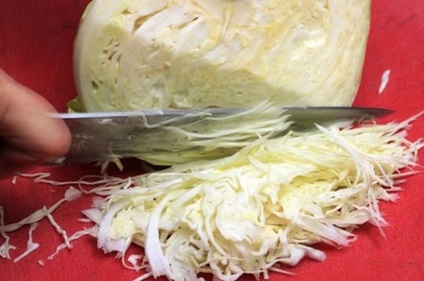 Рецепт приготування салату з капусти на зиму своїми руками