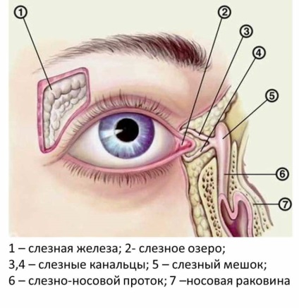 Сльозяться очі - причини лікування народними засобами і у фахівця