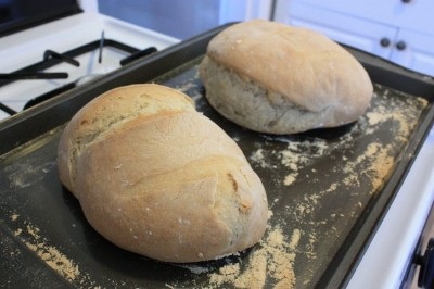 Хліб в духовці в домашніх умовах рецепти і техніка випічки
